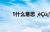 ?什么意思 ?è?ú??????????è′ê