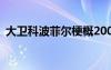 大衛(wèi)科波菲爾梗概200字 大衛(wèi)科波菲爾梗概