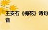 王安石《梅花》詩(shī)句拼音 梅花古詩(shī)王安石拼音