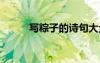 寫粽子的詩句大全 寫粽子的詩句
