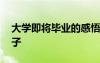 大學(xué)即將畢業(yè)的感悟 即將大學(xué)畢業(yè)的唯美句子