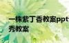 一株紫丁香教案ppt課件 《一株紫丁香》優(yōu)秀教案