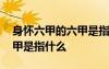 身懷六甲的六甲是指什么動物 身懷六甲的六甲是指什么