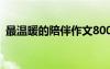 最溫暖的陪伴作文800字 最溫暖的陪伴作文