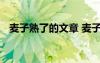 麥子熟了的文章 麥子熟了閱讀理解及答案