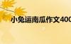小兔運(yùn)南瓜作文400字 小兔運(yùn)南瓜作文