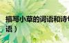 描寫小草的詞語和詩句有哪些（描寫小草的詞語）
