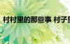 村村里的那些事 村子里的那些事兒散文隨筆