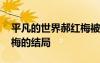 平凡的世界郝紅梅被誰 《平凡的世界》郝紅梅的結局