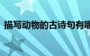 描寫(xiě)動(dòng)物的古詩(shī)句有哪些 描寫(xiě)動(dòng)物的古詩(shī)句