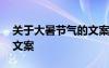 關(guān)于大暑節(jié)氣的文案怎么寫 關(guān)于大暑節(jié)氣的文案