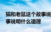 貓和老鼠這個(gè)故事說明了什么 貓和老鼠的故事說明什么道理