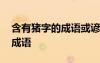 含有豬字的成語(yǔ)或諺語(yǔ)或歇后語(yǔ) 含有豬字的成語(yǔ)