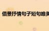 借景抒情句子短句唯美 借景抒情的經(jīng)典句子