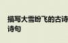 描寫大雪紛飛的古詩詞 描寫大雪紛飛的古代詩句