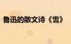 魯迅的散文詩(shī)《雪》 《雪》魯迅散文詩(shī)原文