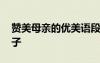 贊美母親的優(yōu)美語段精選 贊美母親的美好句子