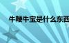 牛鞭牛寶是什么東西（牛寶是什么東西）