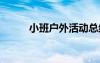 小班戶外活動(dòng)總結(jié) 戶外活動(dòng)總結(jié)