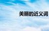 美麗的近義詞 仔細的近義詞