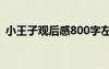 小王子觀后感800字左右 觀《小王子》有感