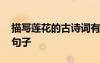 描寫蓮花的古詩(shī)詞有哪些 描寫蓮花的古詩(shī)詞句子