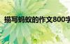 描寫螞蟻的作文800字 描寫螞蟻?zhàn)魑?00字