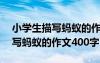 小學(xué)生描寫螞蟻的作文400字左右 小學(xué)生描寫螞蟻的作文400字