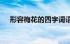 形容梅花的四字詞語 形容花的四字詞語