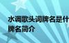 水調(diào)歌頭詞牌名是什么意思 《水調(diào)歌頭》詞牌名簡介