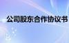 公司股東合作協(xié)議書 股東合作協(xié)議書合同