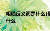 粗糙反義詞是什么(最佳答案) 粗糙反義詞是什么