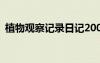 植物觀察記錄日記200字 植物觀察記錄日記