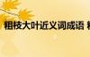 粗枝大葉近義詞成語 粗枝大葉近義詞及造句