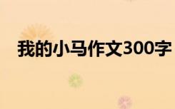 我的小馬作文300字 我家的“小馬”作文