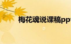 梅花魂說(shuō)課稿ppt 梅花魂的說(shuō)課稿