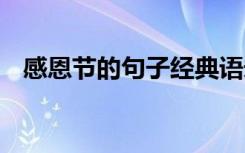 感恩節(jié)的句子經(jīng)典語(yǔ)錄 感恩節(jié)的感動(dòng)句子