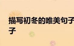 描寫初冬的唯美句子簡短 描寫初冬的美好句子