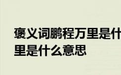 褒義詞鵬程萬里是什么意思呢 褒義詞鵬程萬里是什么意思