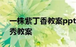 一株紫丁香教案ppt課件 《一株紫丁香》優(yōu)秀教案