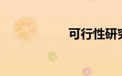 可行性研究報告費用