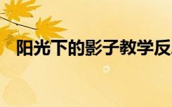 陽光下的影子教學(xué)反思 《影子》教學(xué)反思