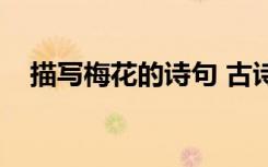 描寫梅花的詩句 古詩 描寫花的詩句 古詩
