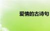愛情的古詩句 于愛情的古詩