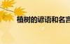 植樹的諺語和名言警句 植樹的諺語