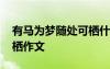 有馬為夢隨處可棲什么意思 有夢為馬隨處可棲作文