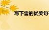 寫下雪的優(yōu)美句子 雪的優(yōu)美句子