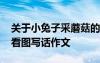 關(guān)于小兔子采蘑菇的看圖寫話 小兔子采蘑菇看圖寫話作文