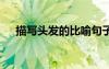 描寫頭發(fā)的比喻句子 描寫頭發(fā)的比喻句