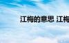 江梅的意思 江梅原文翻譯及賞析